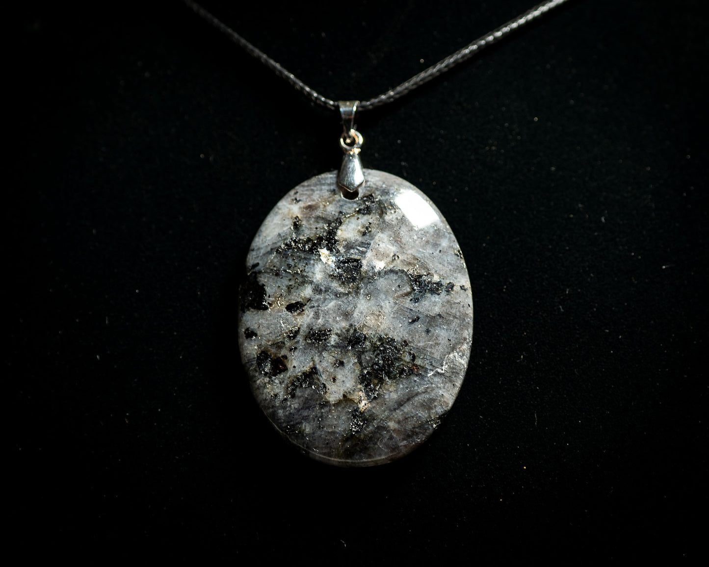 Echoes of the Hollow Crown Collection