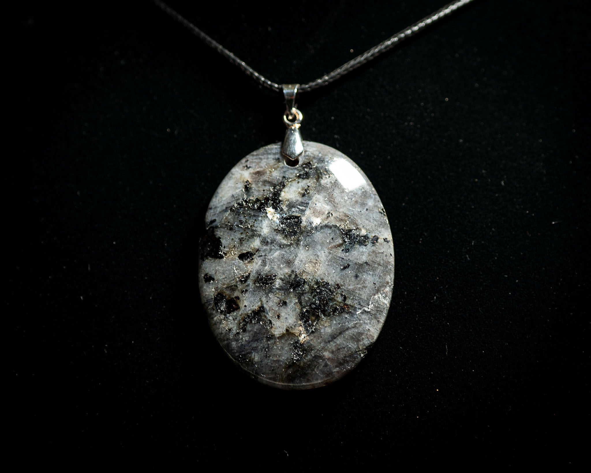 Echoes of the Hollow Crown Collection