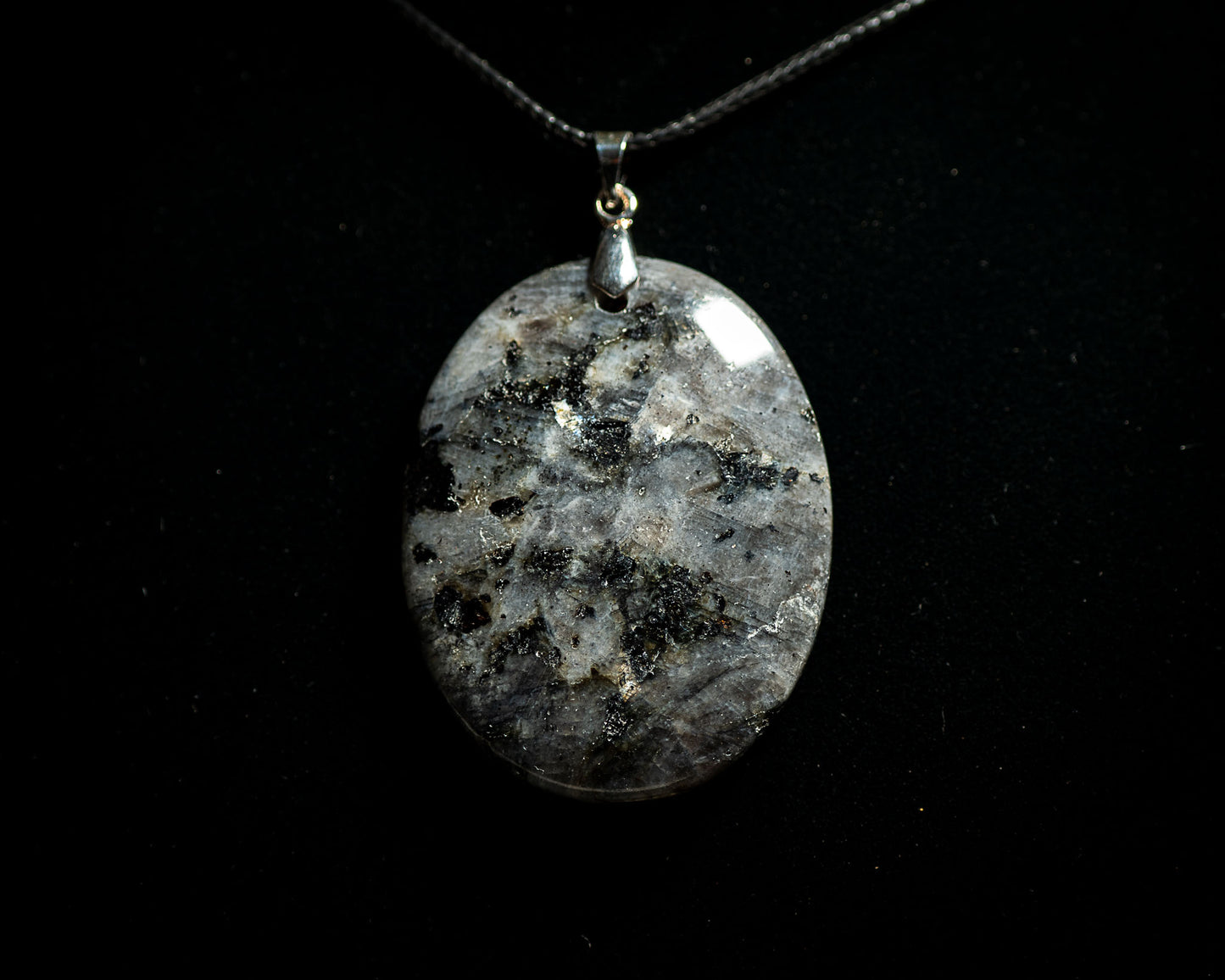 Echoes of the Hollow Crown Collection