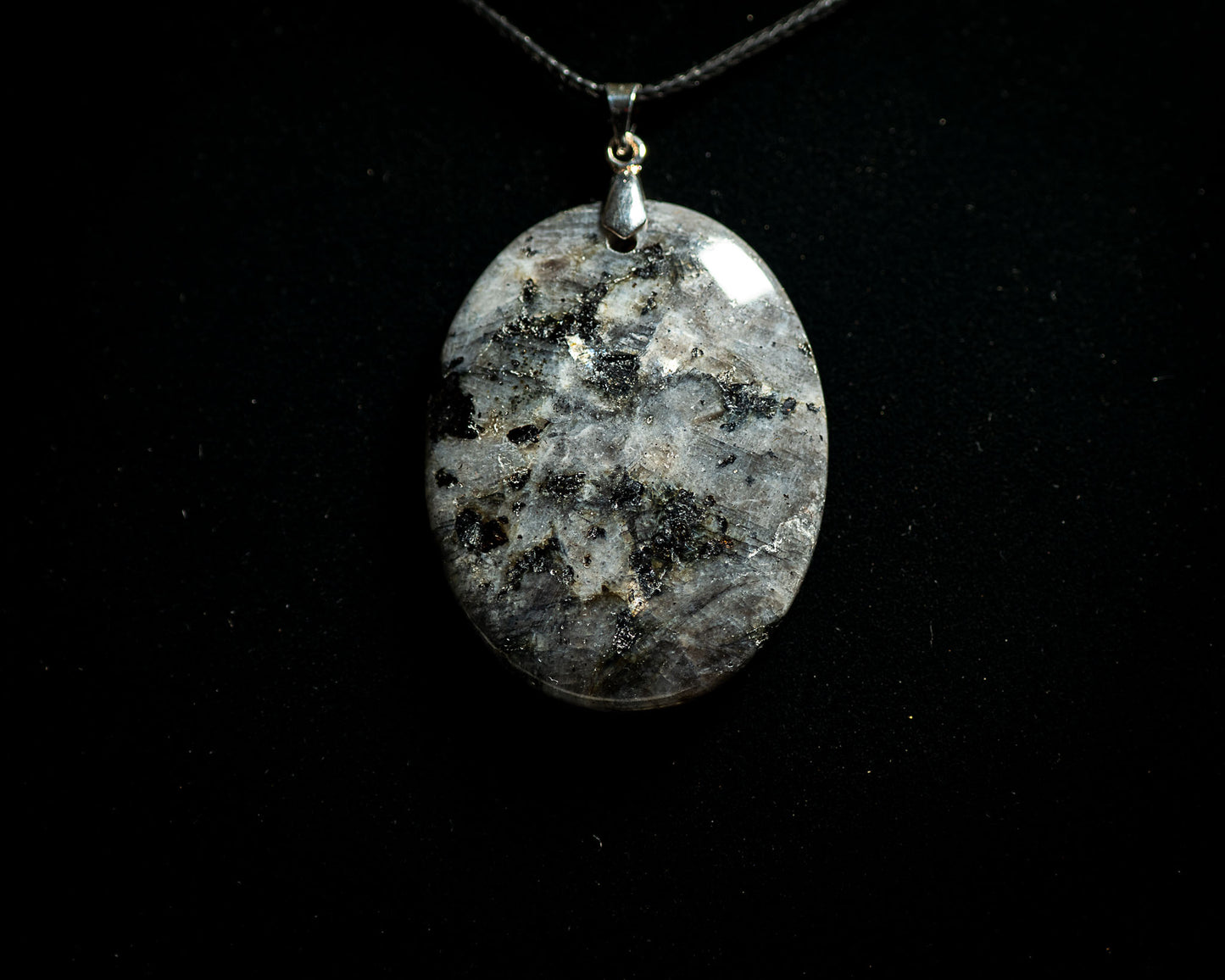 Echoes of the Hollow Crown Collection