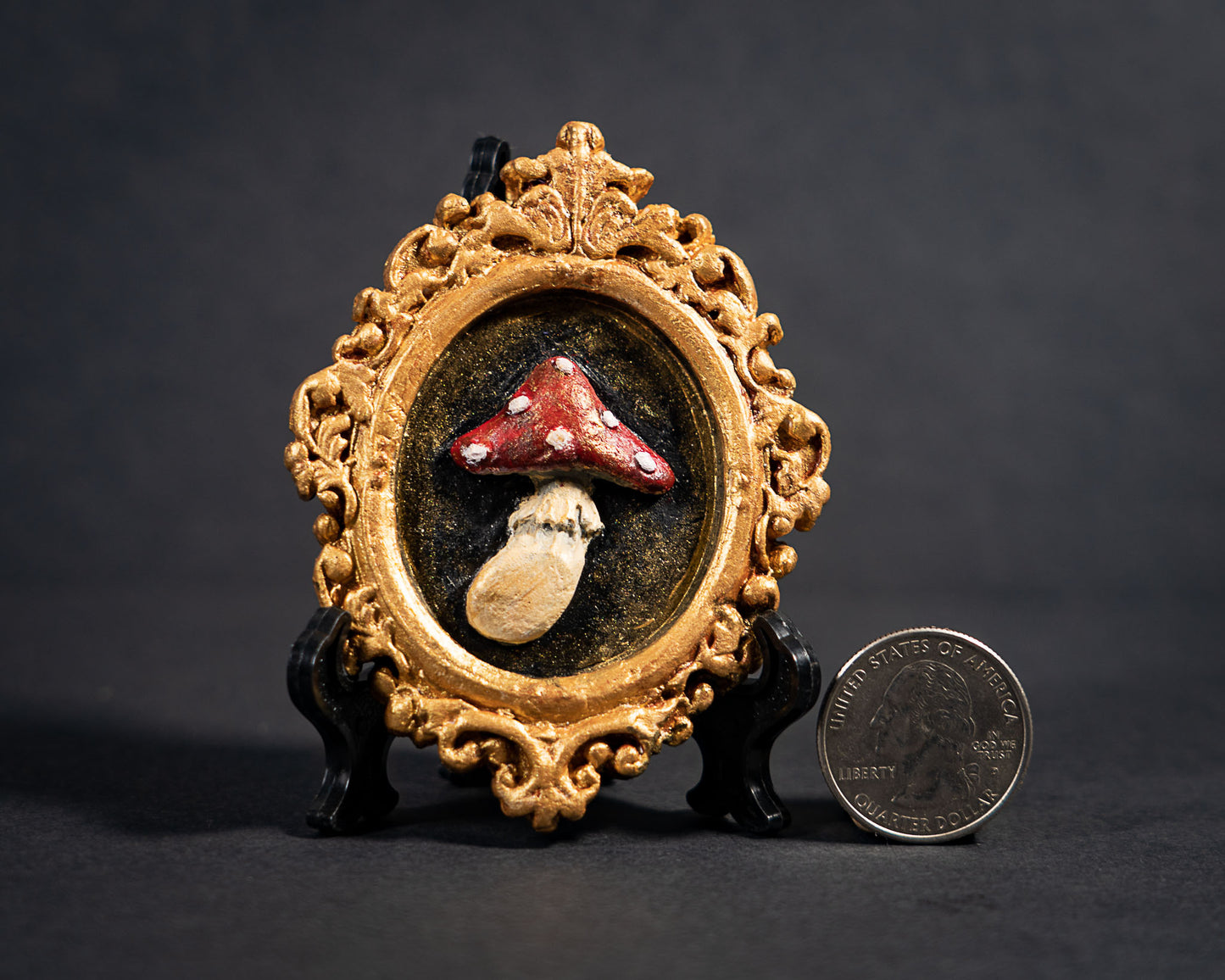 Fungi Art Frame