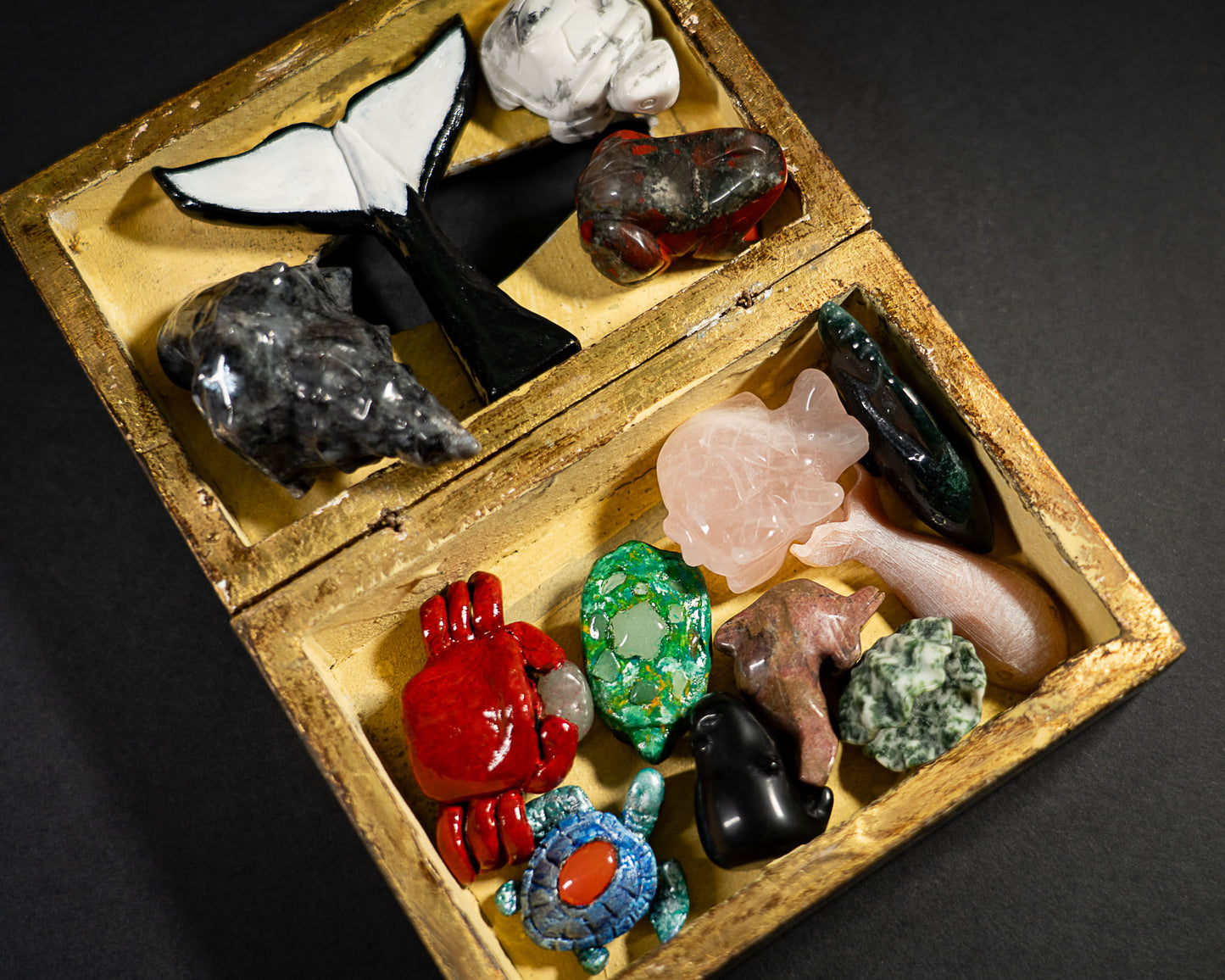 The Aquatic Box
