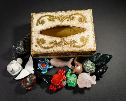 The Aquatic Box