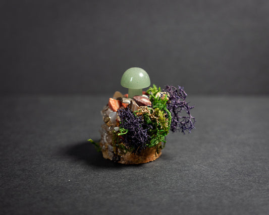 Enchanted Mushroom Stumps