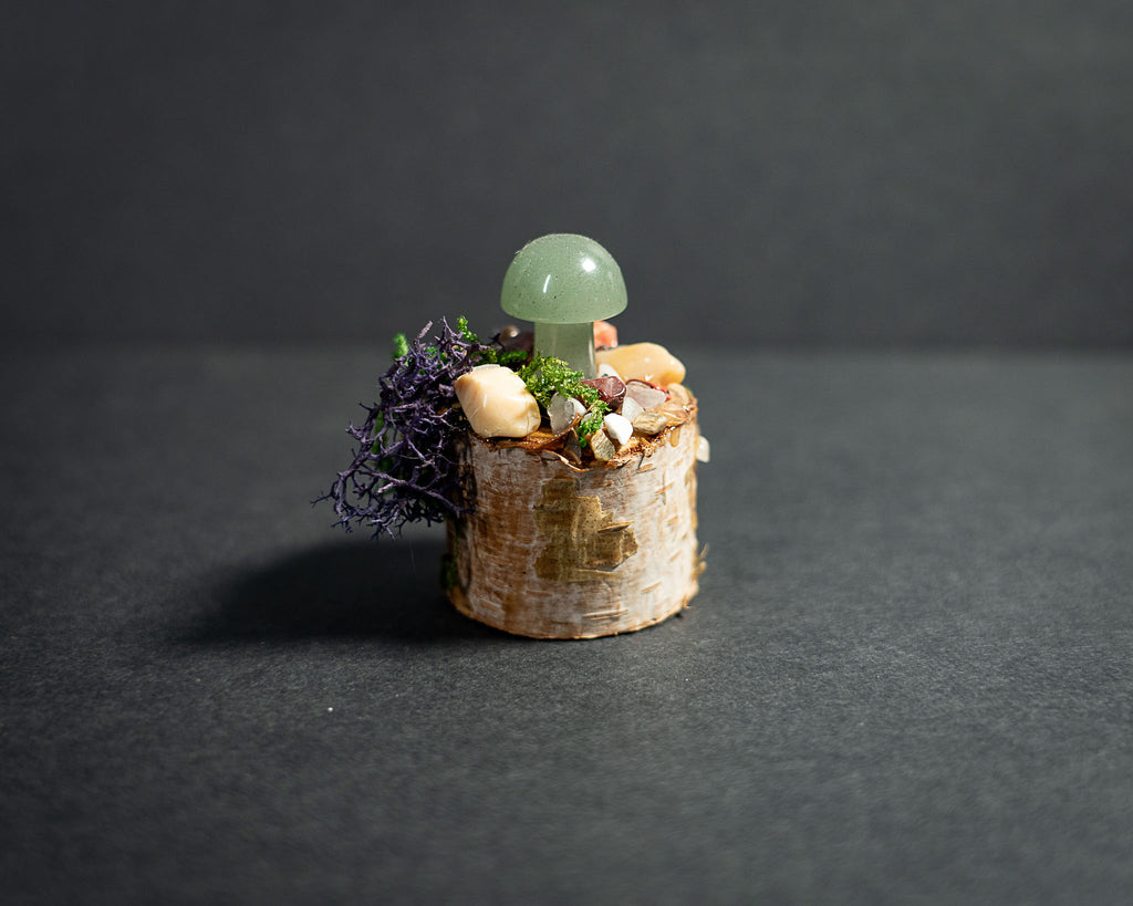 Enchanted Mushroom Stumps