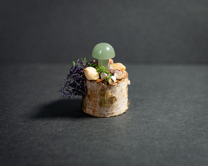 Enchanted Mushroom Stumps