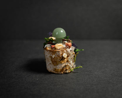 Enchanted Mushroom Stumps