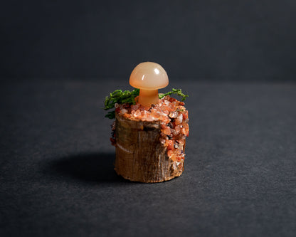 Enchanted Mushroom Stumps