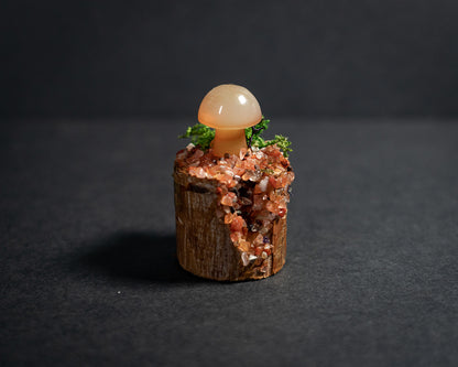 Enchanted Mushroom Stumps