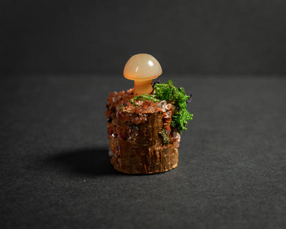 Enchanted Mushroom Stumps
