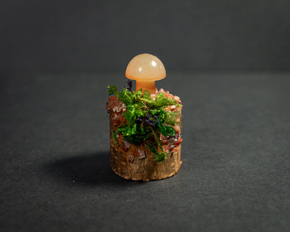 Enchanted Mushroom Stumps