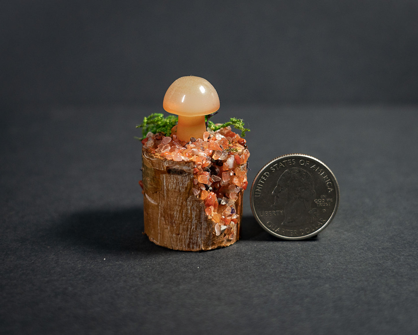 Enchanted Mushroom Stumps