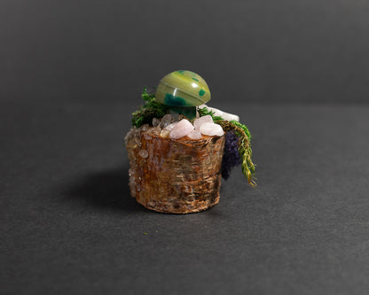 Enchanted Mushroom Stumps