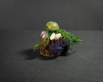 Enchanted Mushroom Stumps