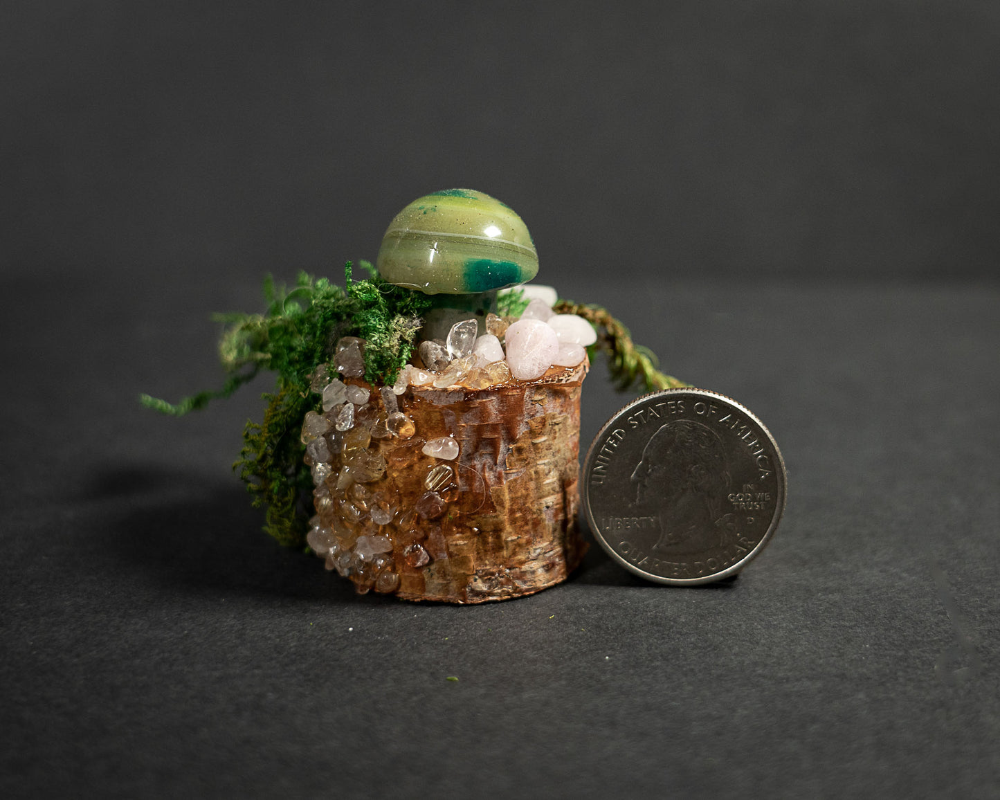 Enchanted Mushroom Stumps