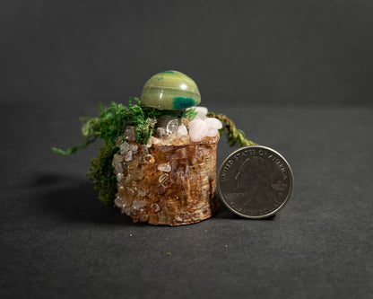 Enchanted Mushroom Stumps
