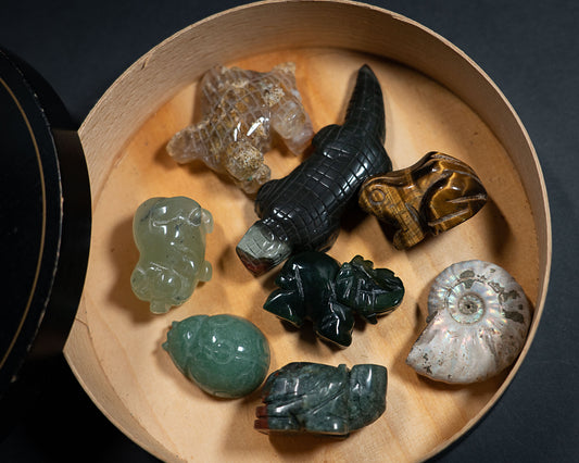 Collectors Gift Box
