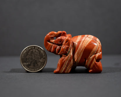 Elephants