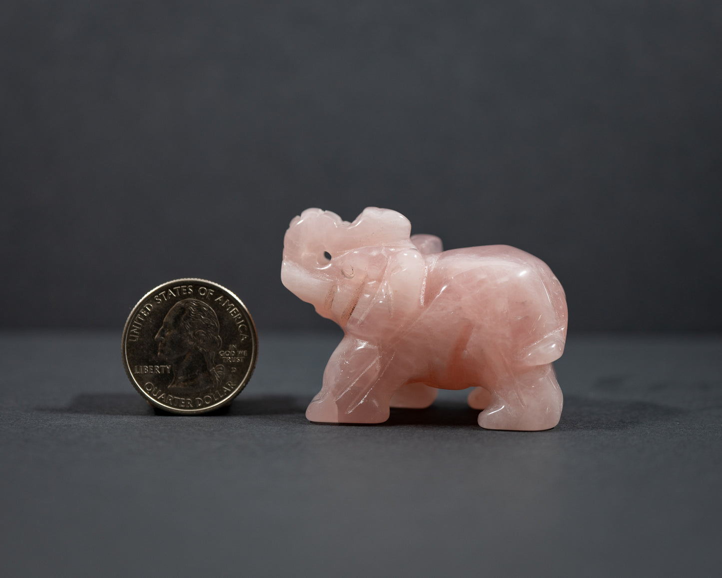 Elephants