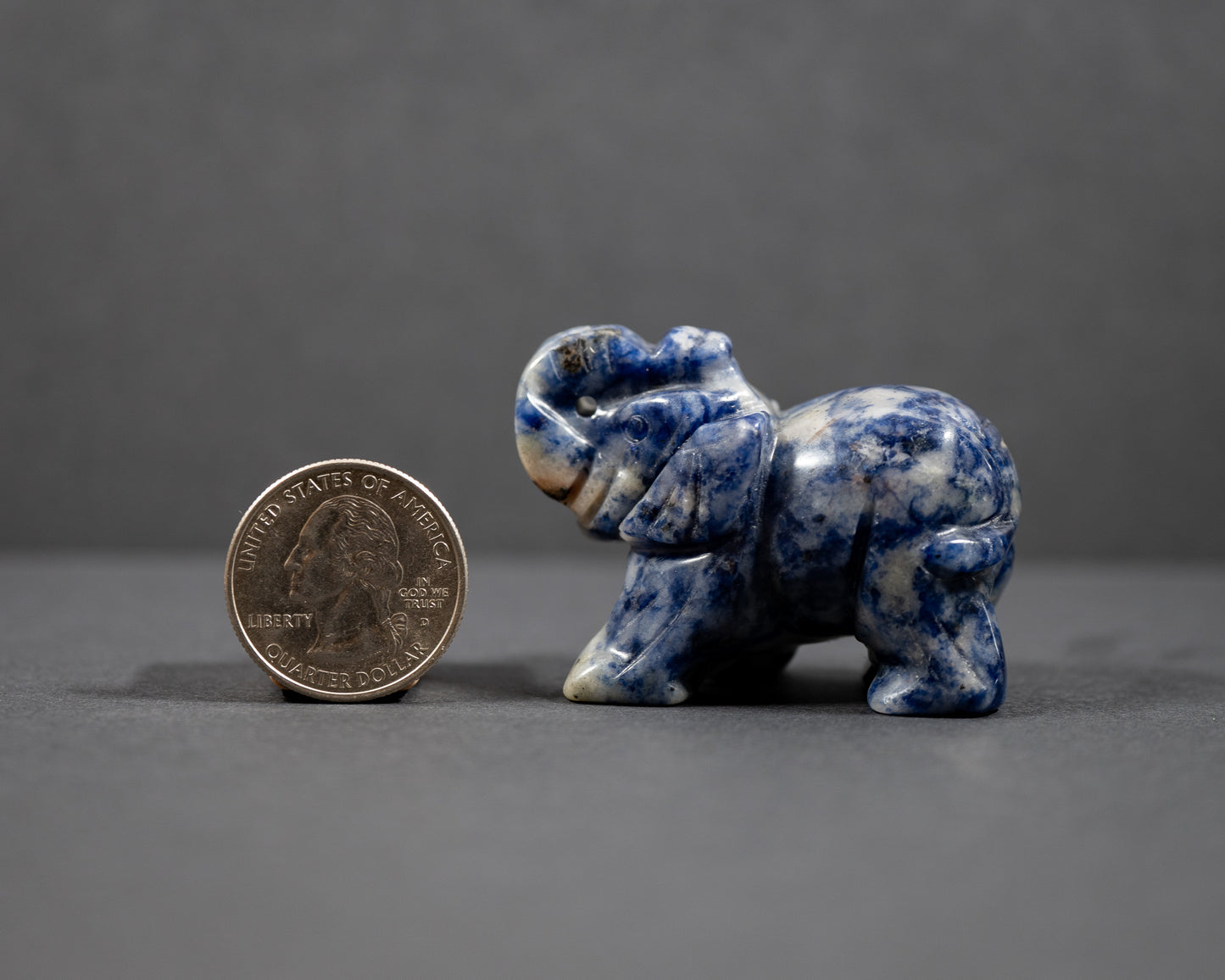 Elephants