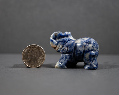 Elephants