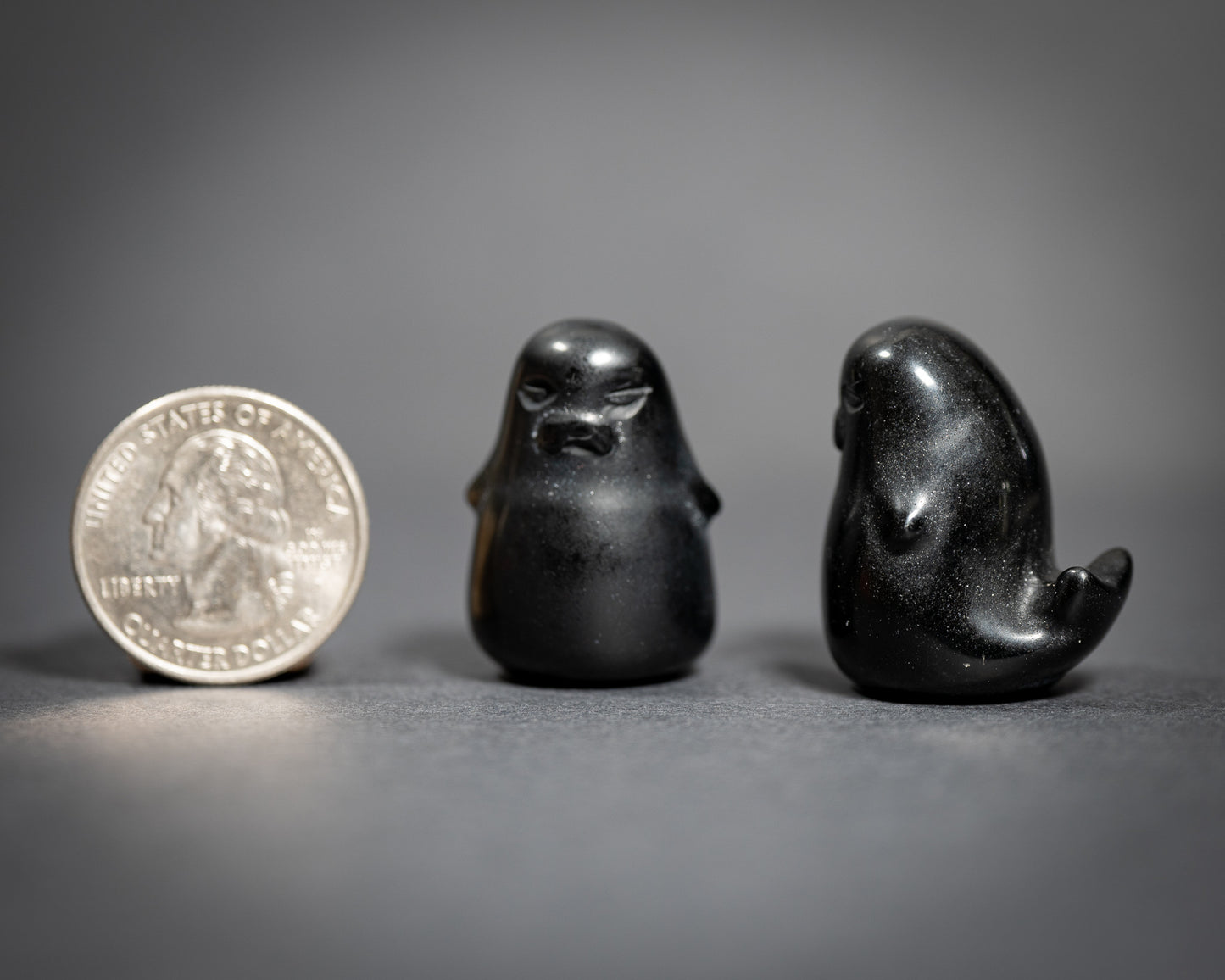 Chunky Seals