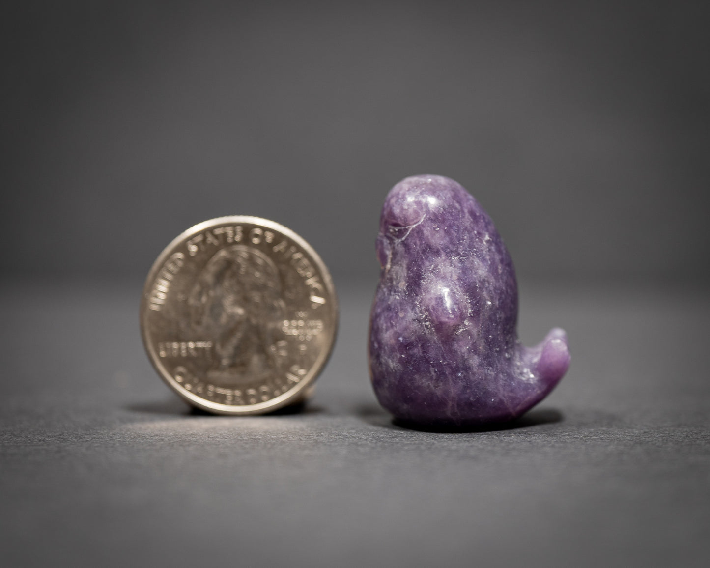 Chunky Seals