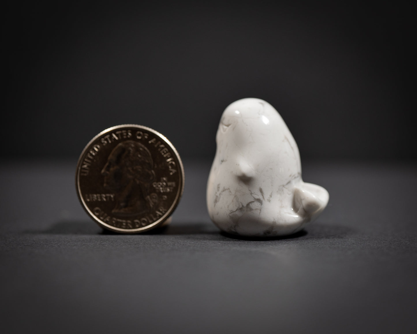 Chunky Seals