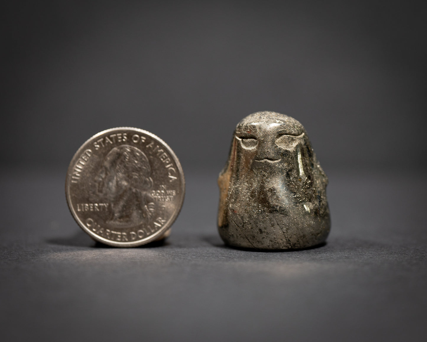 Chunky Seals