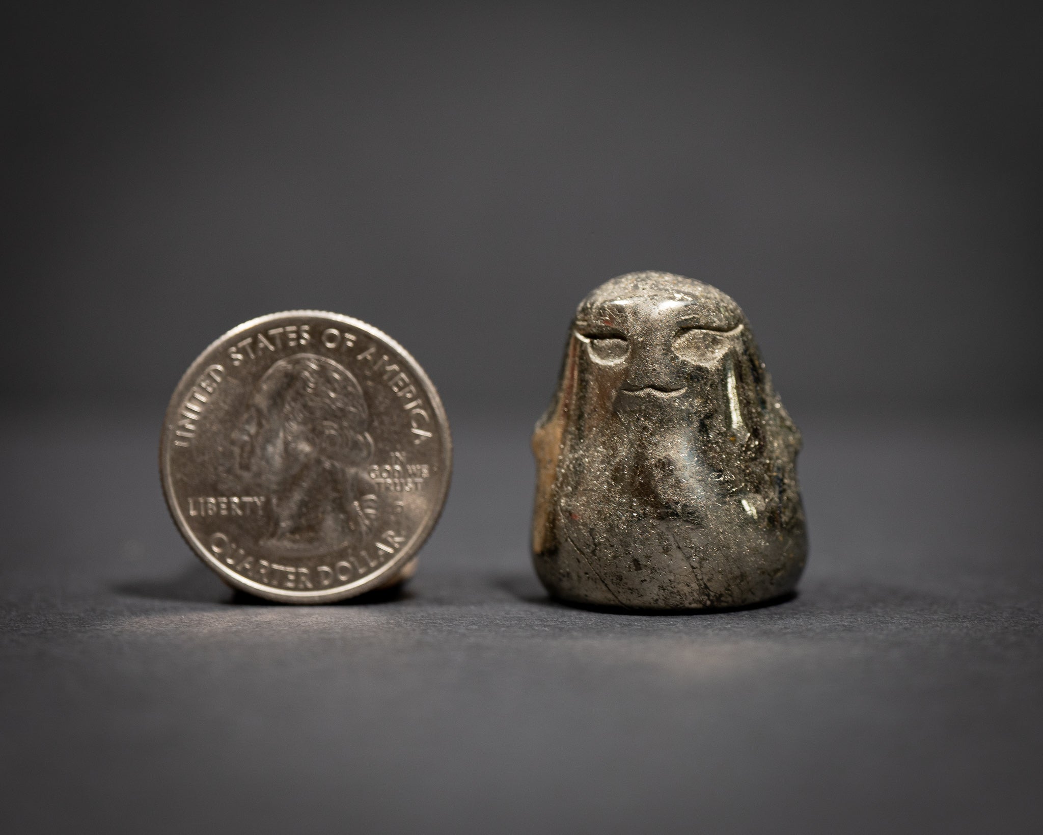 Chunky Seals