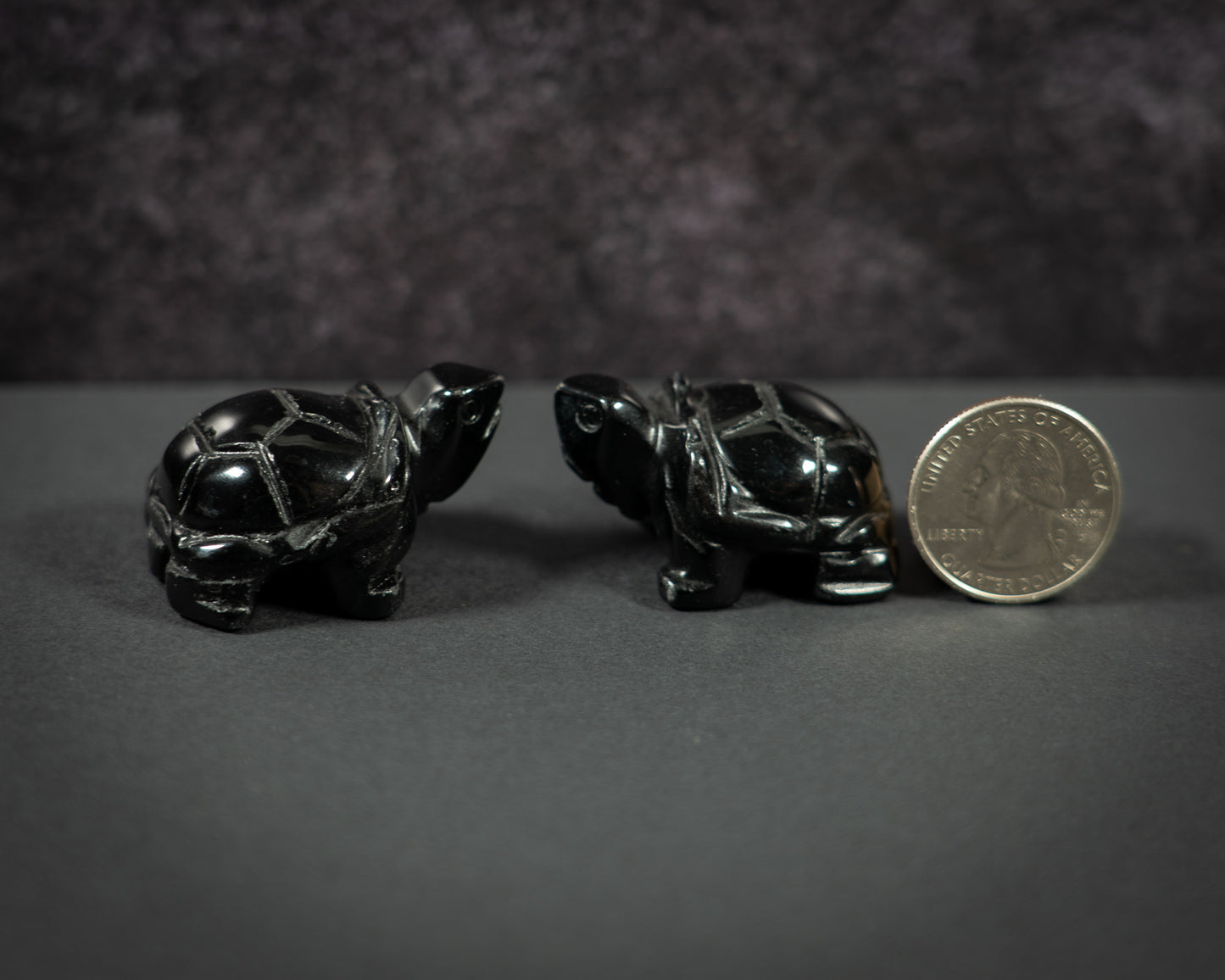 Little Gemstone Turtles
