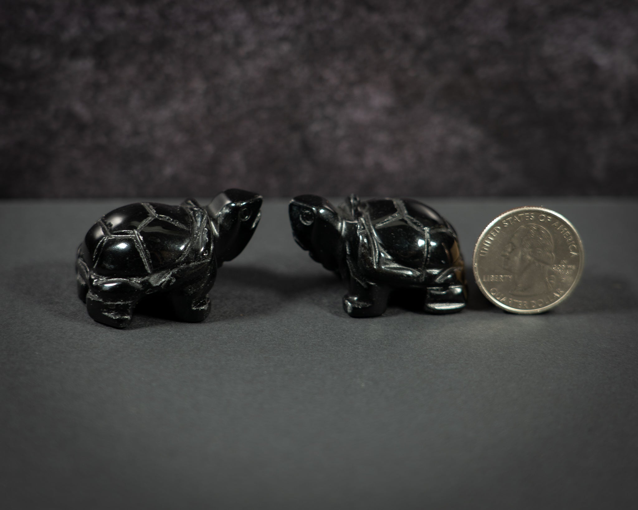 Little Gemstone Turtles