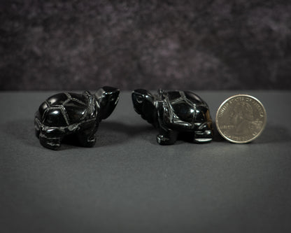 Little Gemstone Turtles