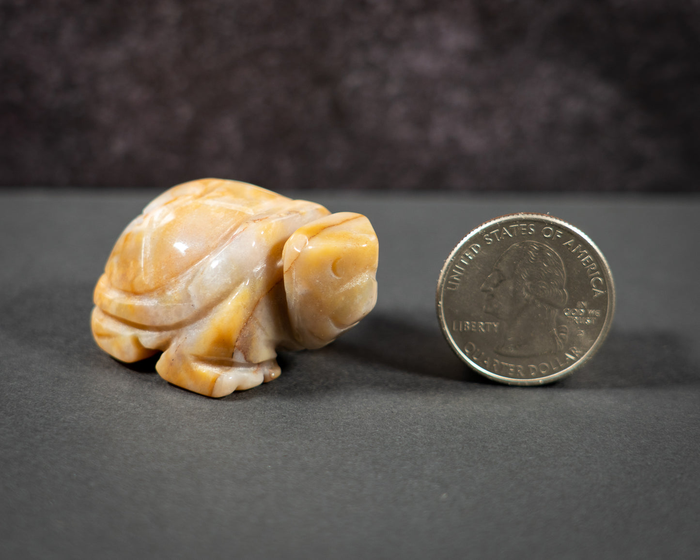 Little Gemstone Turtles