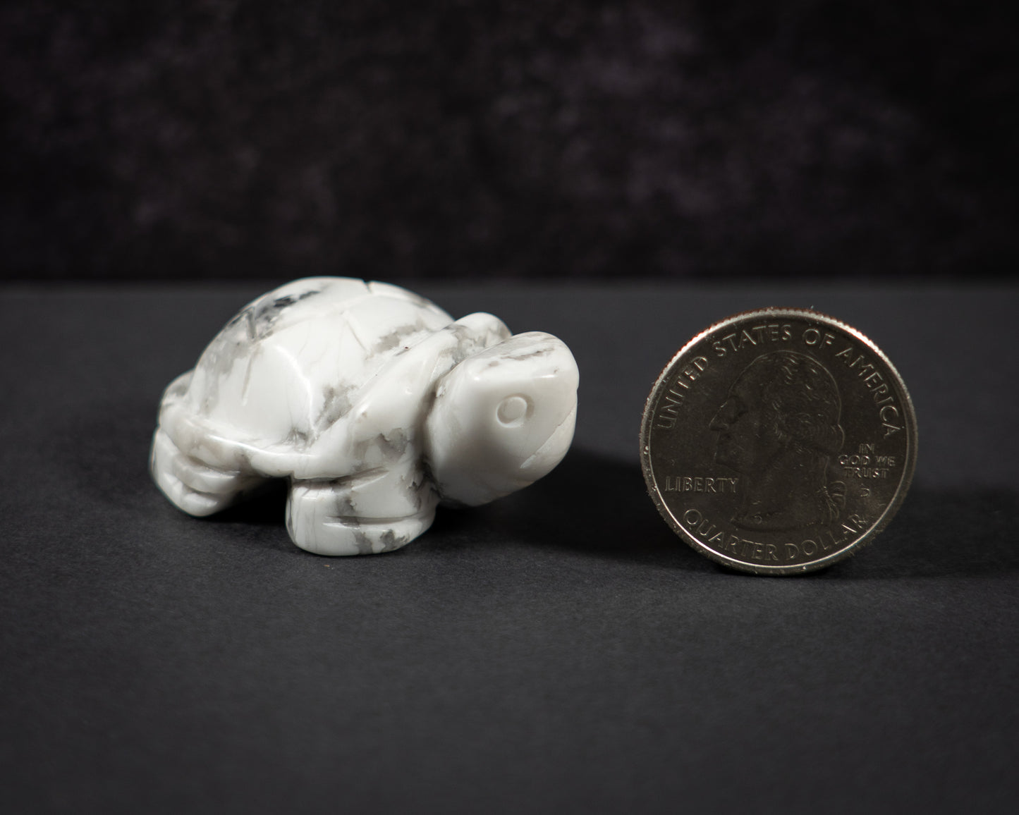 Little Gemstone Turtles