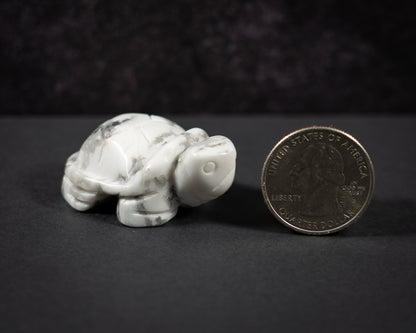Little Gemstone Turtles