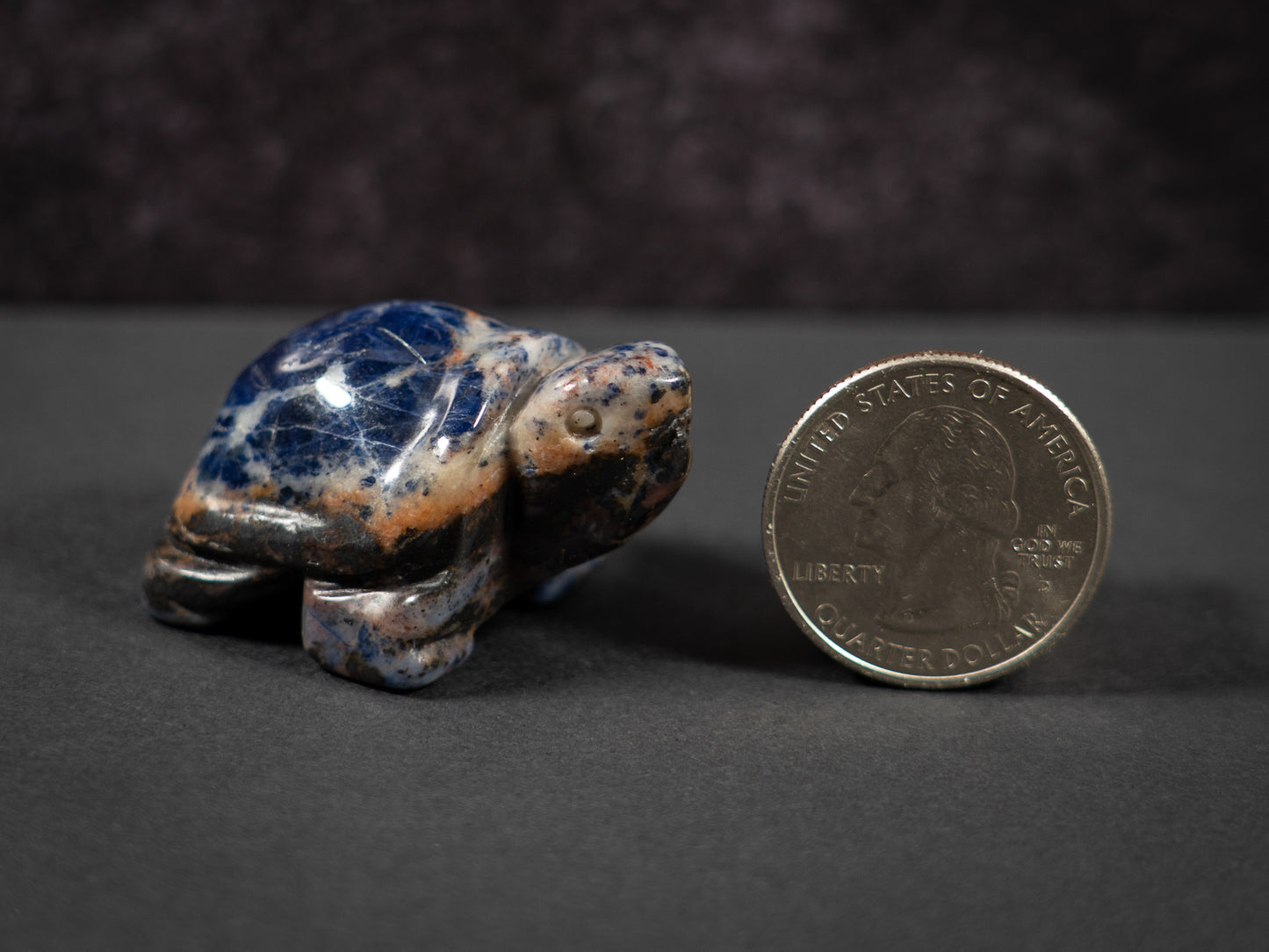 Little Gemstone Turtles
