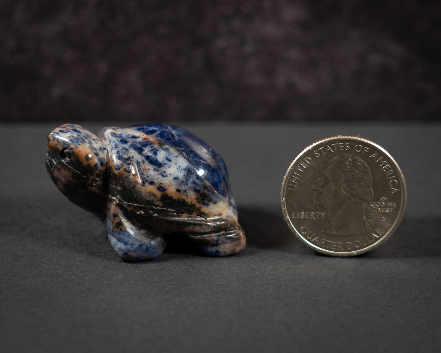 Little Gemstone Turtles