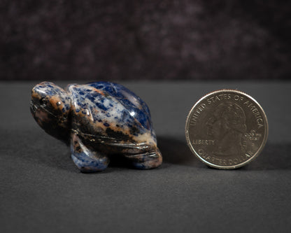 Little Gemstone Turtles