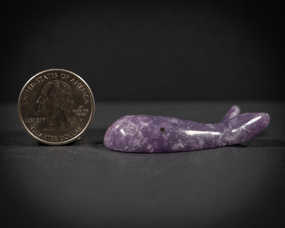 Little Gemstone Whales