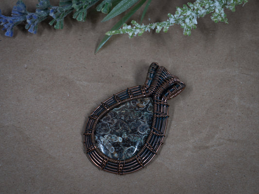 Turritella Agate Pendant