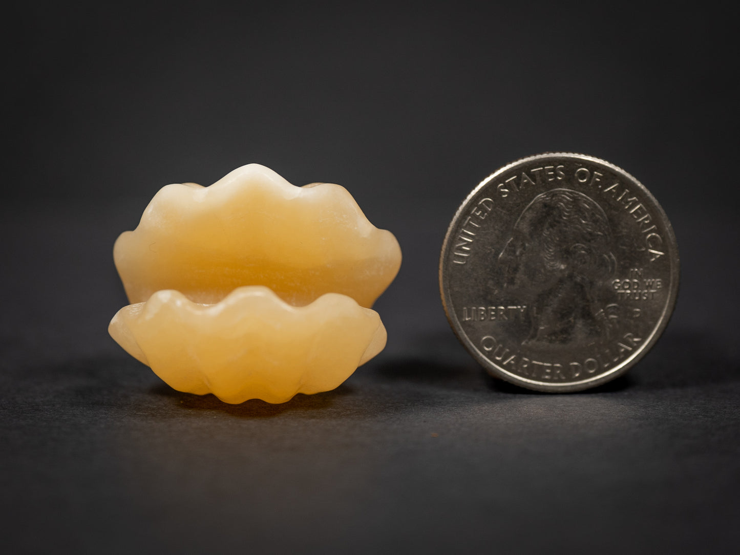 Little Gemstone Clams