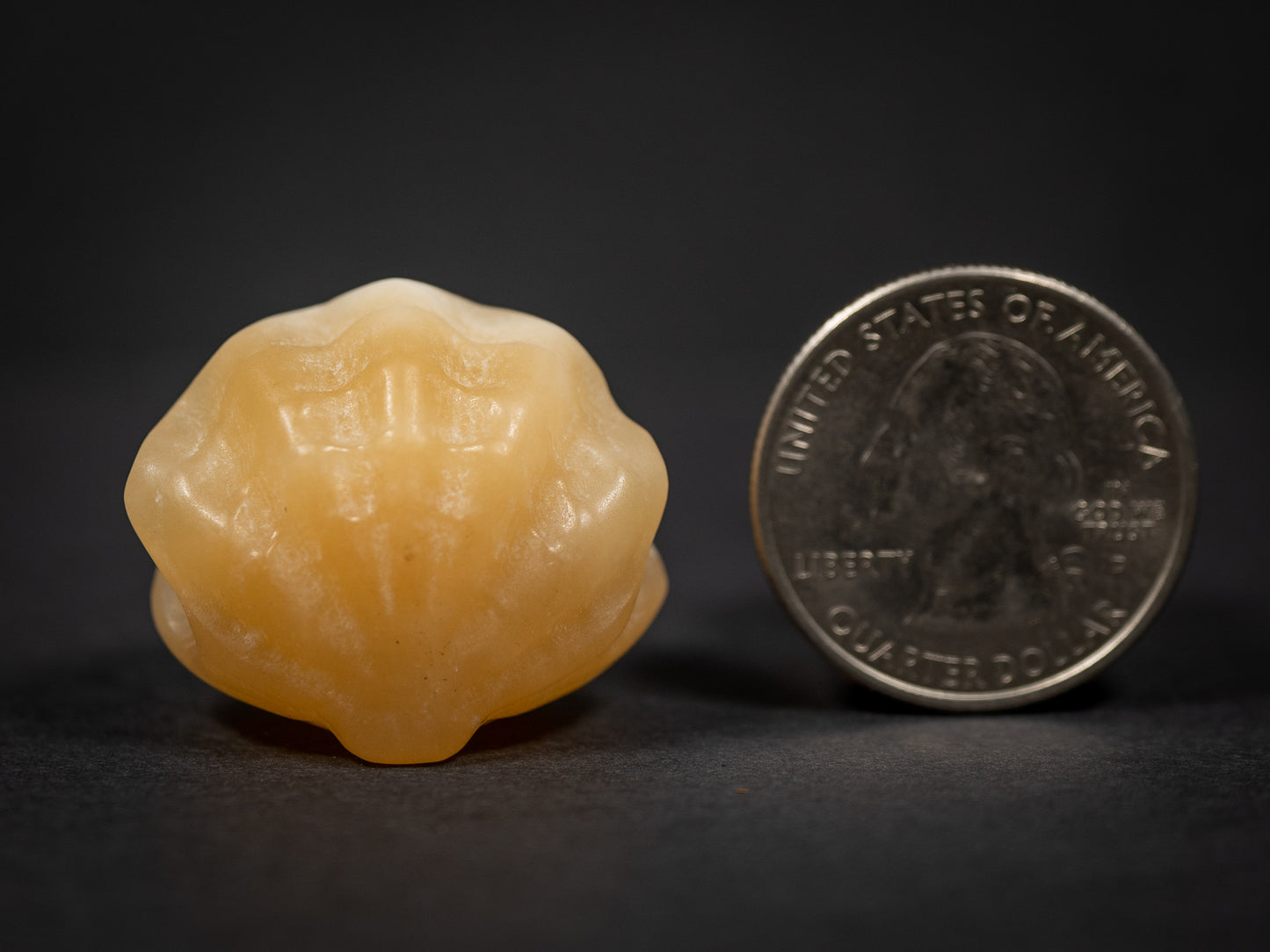 Little Gemstone Clams