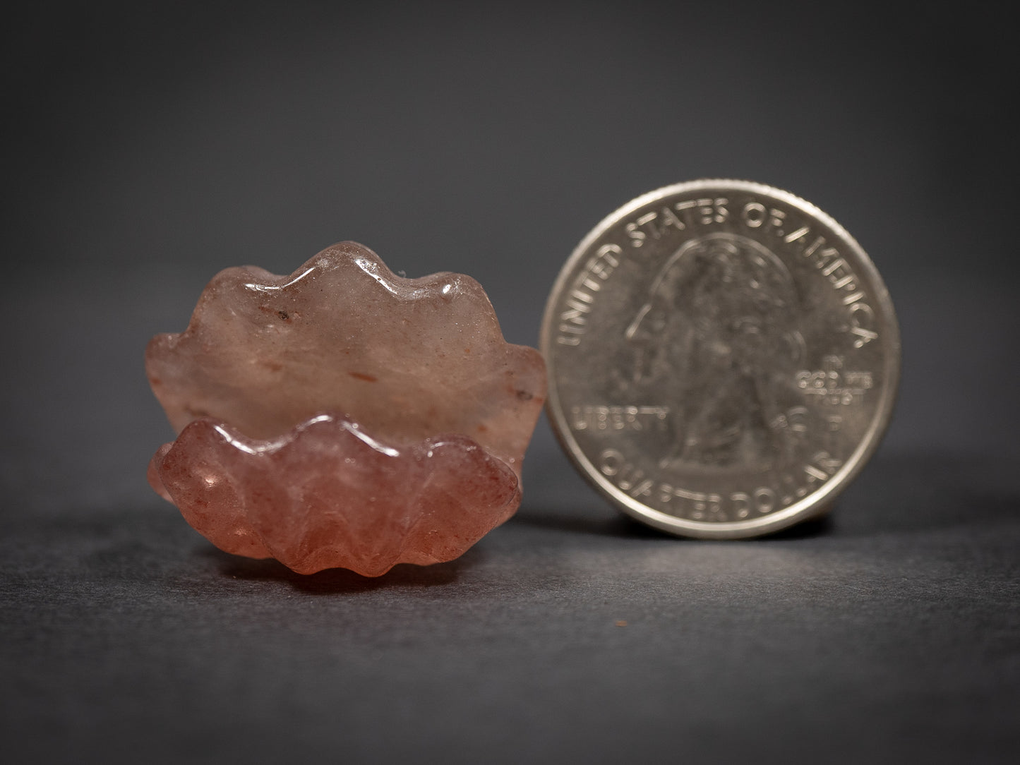 Little Gemstone Clams