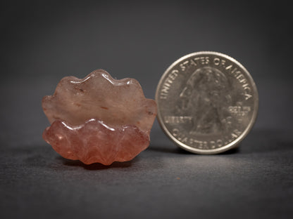 Little Gemstone Clams