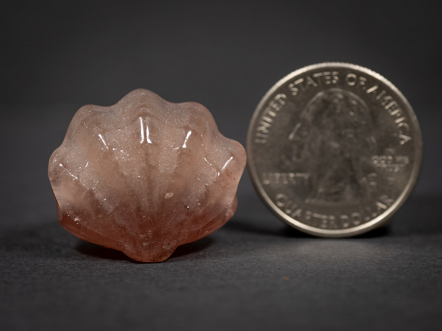 Little Gemstone Clams