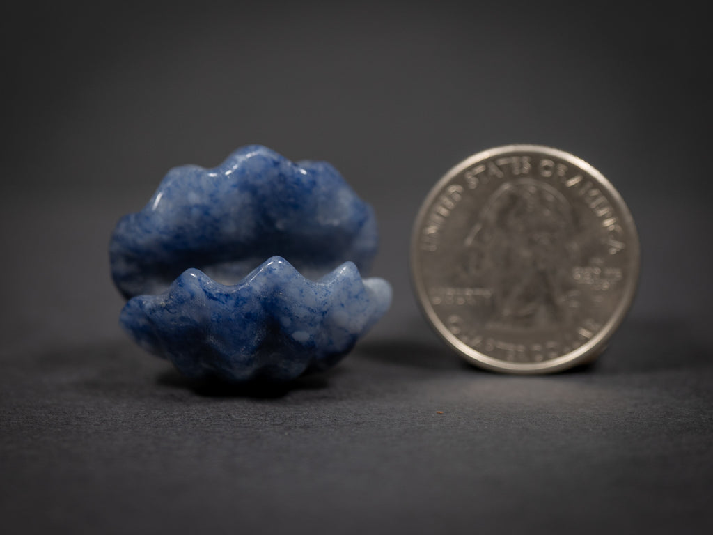 Little Gemstone Clams