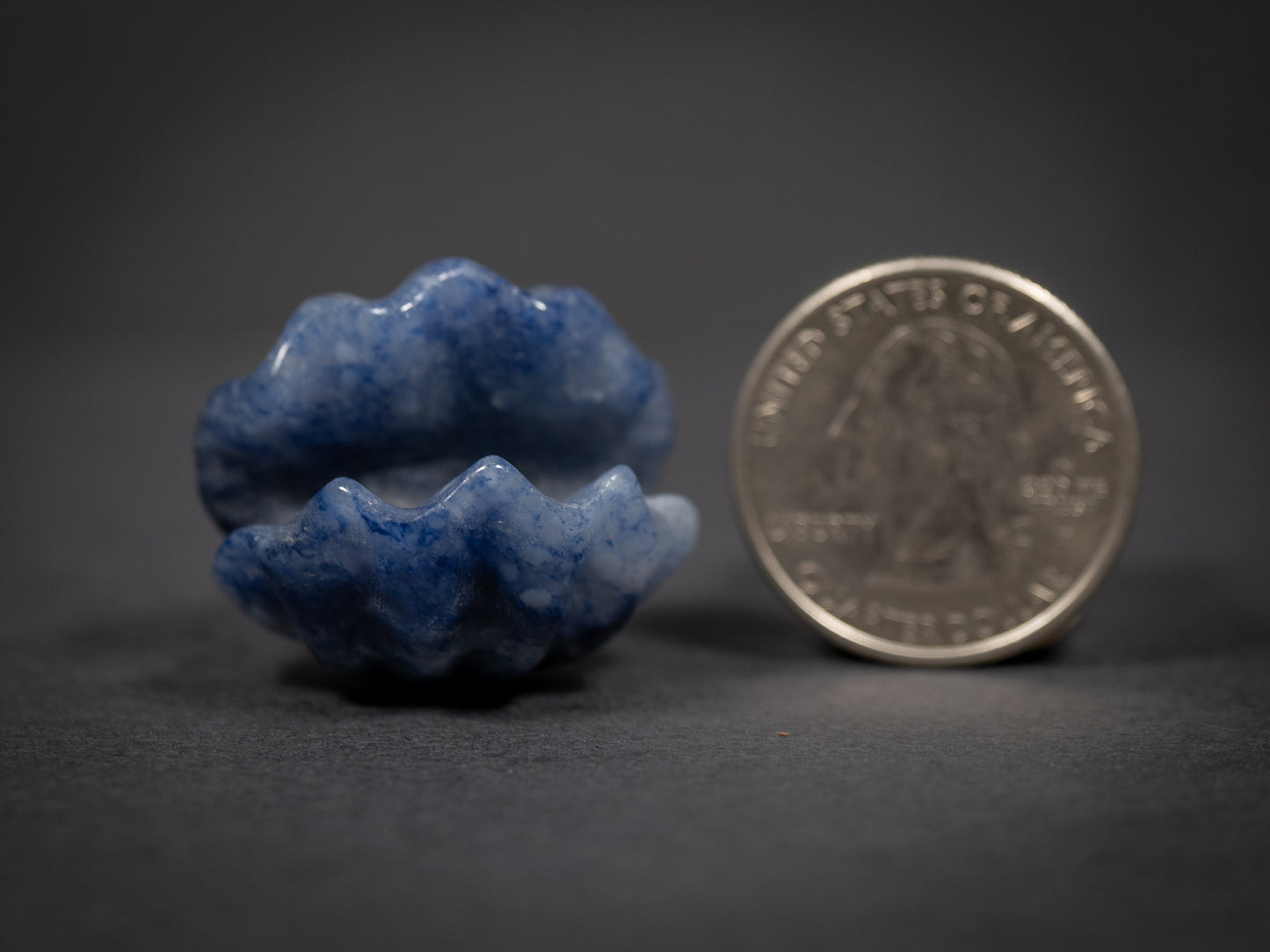 Little Gemstone Clams