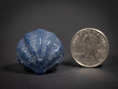 Little Gemstone Clams