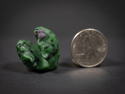 Little Gemstone Clams